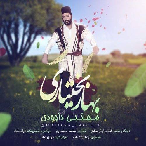 مجتبی داوودی بهار بختیاری